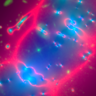 Mathematical models of the mass distribution of a galaxy cluster provide magnification maps that pinpoint the locations of greatest magnification due to gravitational lensing. These are where astronomers search for the most distant and faintest galaxies. Shown here are Hubble imagery of galaxy cluster Abell 2744 (green); distribution of mass for the Abell 2744 galaxy cluster (blue); and locations of greatest lensing for background galaxies with a redshift of 9 (pink). There are different magnification maps for background galaxies at different distances. Credit: J. Richard (CRAL Lyon), CATS team, and D. Coe (STScI)